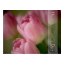 Tulipes roses • Carte postale de Saint-Valentin