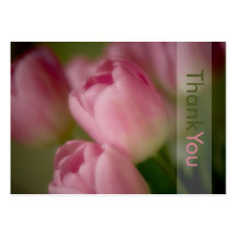 Tulipes roses • Merci Profilecard Cartes De Visite Personnelles