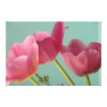 Tulipes roses sur la turquoise toiles tendues