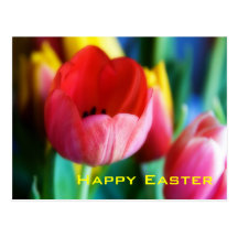 Tulipes rouges • Carte postale de Pâques - customi