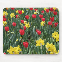 Tulipes rouges et jonquilles jaunes, arborétum de  tapis de souris