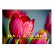 Tulipes rouges • Sauvez la mini carte de date Modèle De Carte De Visite