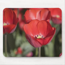 Tulipes rouges tapis de souris