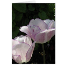Tulipes tachetées carte de vœux