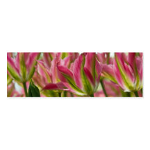 Tulipes variées DSC0796 de rose et de vert Modèles De Cartes De Visite