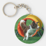 Tunnel d'agilité de Brown border collie Porte-clef