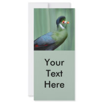 Turaco Blanc-Cheeked Modèle De Double Carte