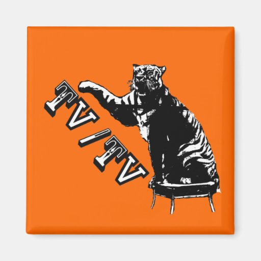 TV/TV MAGNETS