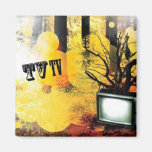 TV/TV MAGNETS POUR RÉFRIGÉRATEUR