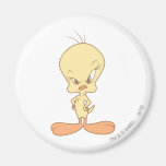 Tweety fâché magnets pour réfrigérateur