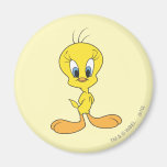 Tweety fier magnets pour réfrigérateur