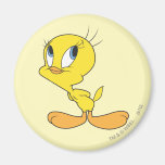 Tweety Hmm Aimant