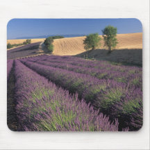 UE, France, Provence, gisements 3 de lavande Tapis De Souris