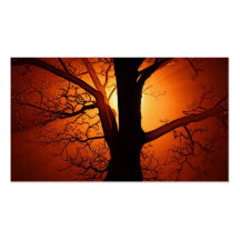 Un arbre nu au coucher du soleil modèles de cartes de visite
