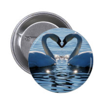 Un baiser de coeur de cygne, réflexions de l'amour badges avec agrafe