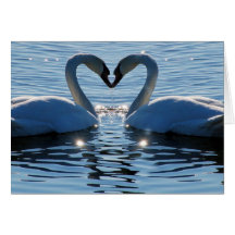 Un baiser de coeur de cygne, réflexions de l'amour cartes de vœux