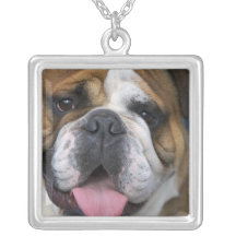 Un bouledogue anglais en Belgique Pendentif