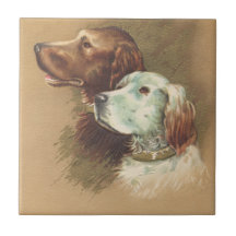 Un Brown et un chien blanc Carreau
