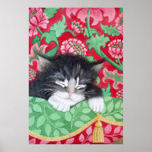Un chat confortable ! posters