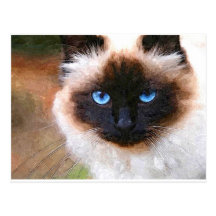 Un chat de Birman Carte Postale