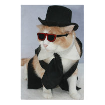Un chat habillé par dièse posters