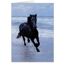 Un cheval sauvage et libre carte de vœux