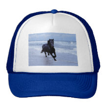 Un cheval sauvage et libre casquettes de camionneur