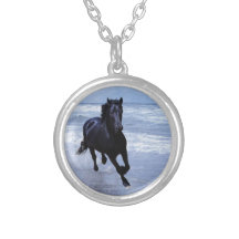 Un cheval sauvage et libre colliers