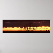 Un coucher du soleil de bayou par des poivrons de  poster