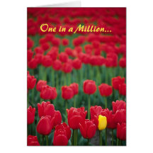Un dans million… cartes de vœux