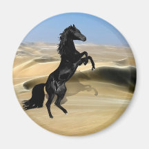 Un étalon noir de élevage sauvage magnets pour réfrigérateur
