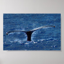 Un flet de nature poster
