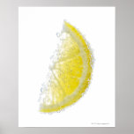 Un fruit organique mûr juteux de cale de citron su affiches