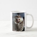Un hérisson mignon tasses