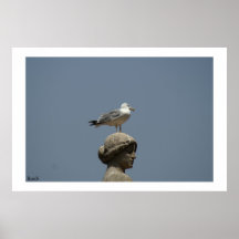 Un oiseau avec une vue posters
