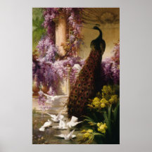 Un paon et colombes dans une copie de jardin affiche