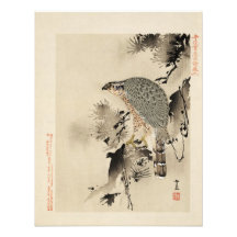 Un photoprint d'oiseau-de-proie