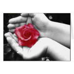 Un rose dans la main 2 carte