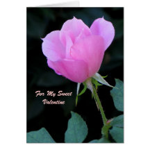 Un Rosebud rose Carte