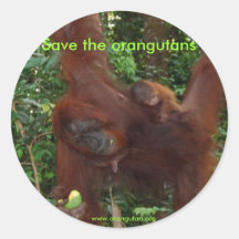 Un-semaine-vieux bébé d'orang-outan adhésif rond