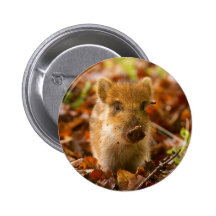 Un Sus Scrofa de porcelet de sanglier dans le feui Pin's Avec Agrafe