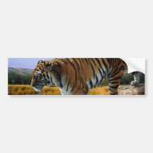 Un tigre aime l'eau autocollants pour voiture