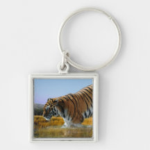 Un tigre aime l'eau porte-clef