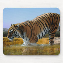Un tigre aime l'eau tapis de souris