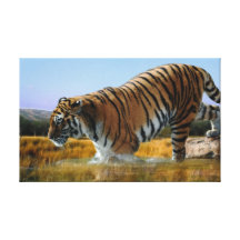 Un tigre aime l'eau toiles tendues sur châssis