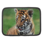 Un tigre de bébé mignon agendas folio