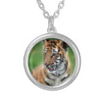 Un tigre de bébé mignon bijouterie fantaisie