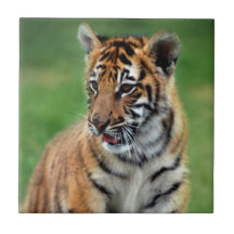Un tigre de bébé mignon carreaux