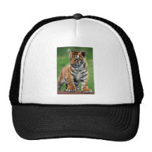 Un tigre de bébé mignon casquettes