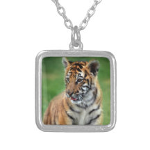 Un tigre de bébé mignon colliers personnalisés